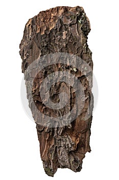 A piece of pine bark, Tree bark isolated on white background, with clipping path