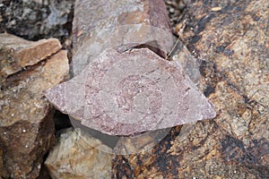 Piece of Pink Arkose Sandstone rock on nature background.