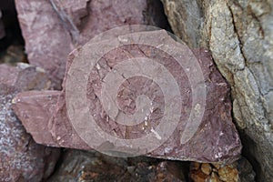 Piece of Pink Arkose Sandstone rock on nature background.