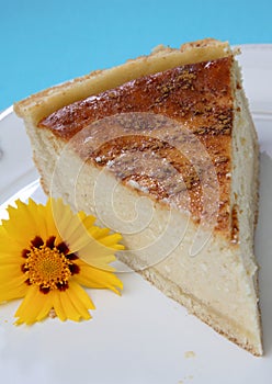 Piece of quark pie dessert