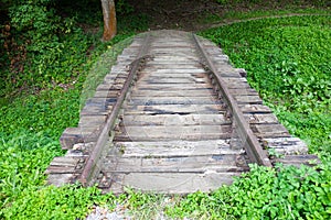 Piece of railway in forest