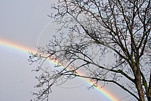 A piece of rainbow in the sky and three