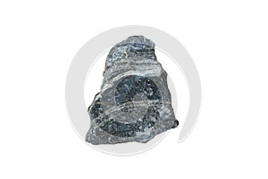 A piece of raw gneiss rock isolated on white background. There is noise and grain caused by the texture of the stone.