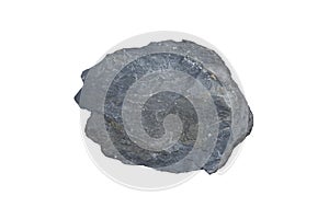 A piece raw specimen of black shale rock isolated on a white background.