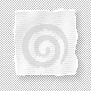 Piece of ripped white paper strip with torn edges and soft shadow for text are on squared background. Vector illustration