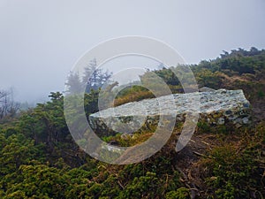 piece of rock of big dimensions as seen on a mountain hill through the coniferous bushes. Granite stone over the misty valley