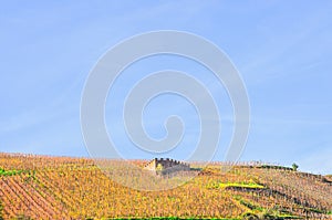 Section of 1500s century castle, in french wine vineyard photo