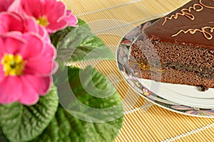 Chocolate cake Sacher Torte and pink flowers
