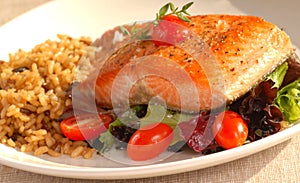 Piece of seared salmon