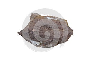 A piece of shale sedimentary rock isolated on white background