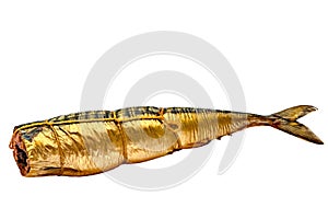 Piece of smoked scomber fish.