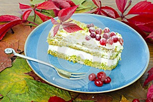 Piece of sponge cake with cream and berries on plate. Studio Photo