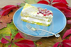 Piece of sponge cake with cream and berries on plate. Studio Photo