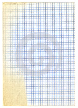 Piece of squared paper on white
