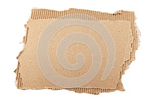 Piece of torn cardboard on a white background. Torn cardboard isolate