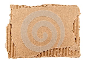 Piece of torn cardboard on a white background. Torn cardboard isolate