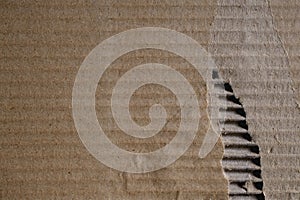 Piece of torn corrugated cardboard