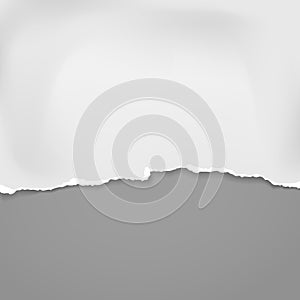 Piece of torn, ripped crumple white paper with soft shadow is on grey background for text. Vector illustration