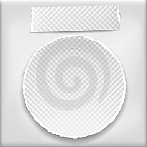 Piece of torn, squared paper strips and circle with soft shadow are on grey background. Vector illustration