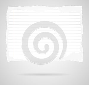 Piece of torn white lined notebook paper on gray background