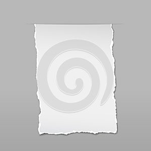 Piece of torn white note, notebook paper is on grey background. Vector illustration