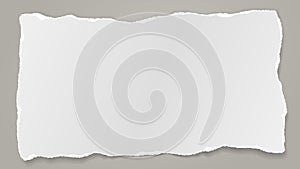 Piece of torn white note, notebook paper with soft shadow stuck on squared background. Vector illustration