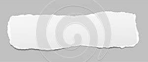 Piece of torn, white realistic horizontal paper strip with soft shadow is lined background. Vector illustration