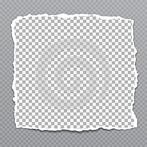 Piece of torn, white squared realistic paper with soft shadow are on grey background. Vector illustration