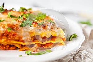 Piece of traditional Italian meat lasagna