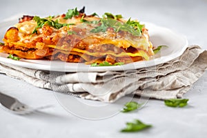 Piece of traditional Italian meat lasagna