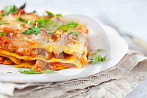 Piece of traditional Italian meat lasagna