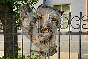 piece of tree trunk stuck on a metal fence after being cut down