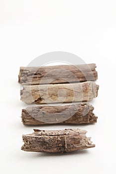 Piece of trunks on white background.