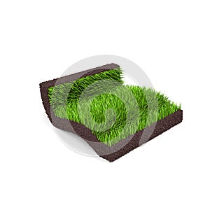 A piece of turf with grass