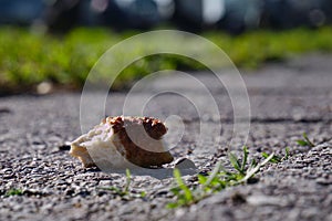 A piece of wasted bagel on street