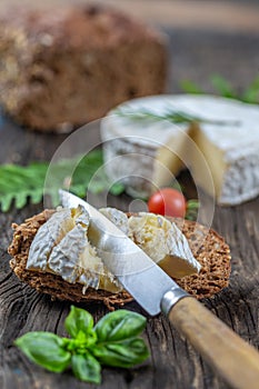 Piece and wheel of traditional Normandy soft cheese Camembert with country homemade bread, fresh aromatic herbs