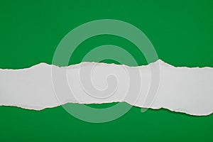 Piece of white torn paper on green background.