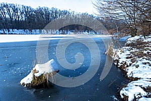 Piece of wood covered with snow in the frozen lake in Maksimir, Zagreb, Croatia