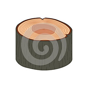 Piece of wooden log with bark, texture on cut, vector