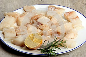 Pieced of sea fish filet on a white plate