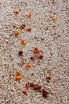 Pieces of amber on the sand