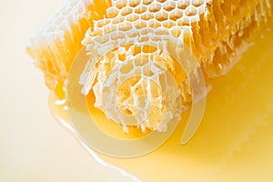 Pieces of bee honeycomb closeup