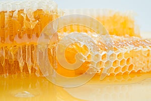 Pieces of bee honeycomb closeup