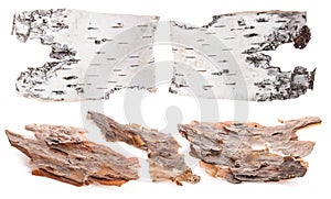 Pieces of birch and pine bark isolated on white
