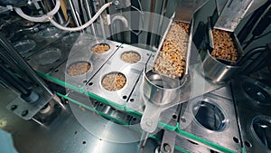 Pieces of bread snacks are getting prepacked at a food factory.