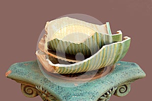 Pieces of broken flower pot