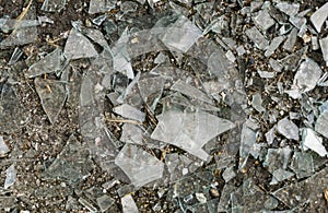 Pieces of broken glass on the ground
