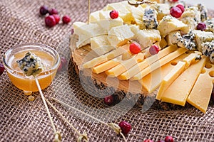 Pieces of cheese on natural background. Different sorts of cheese on wooden board.