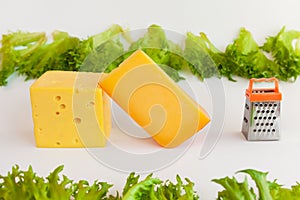 Pieces of cheeses of different tastes, metal grate for preparing grated cheese and leaves of frillis