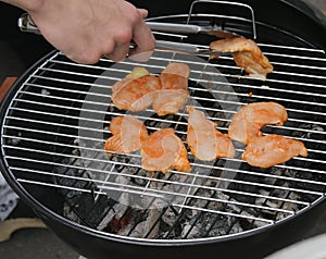 Pieces of chicken on a grill photo